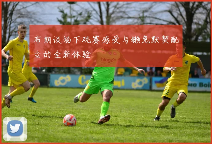 布朗谈场下观赛感受与獭兔默契配合的全新体验